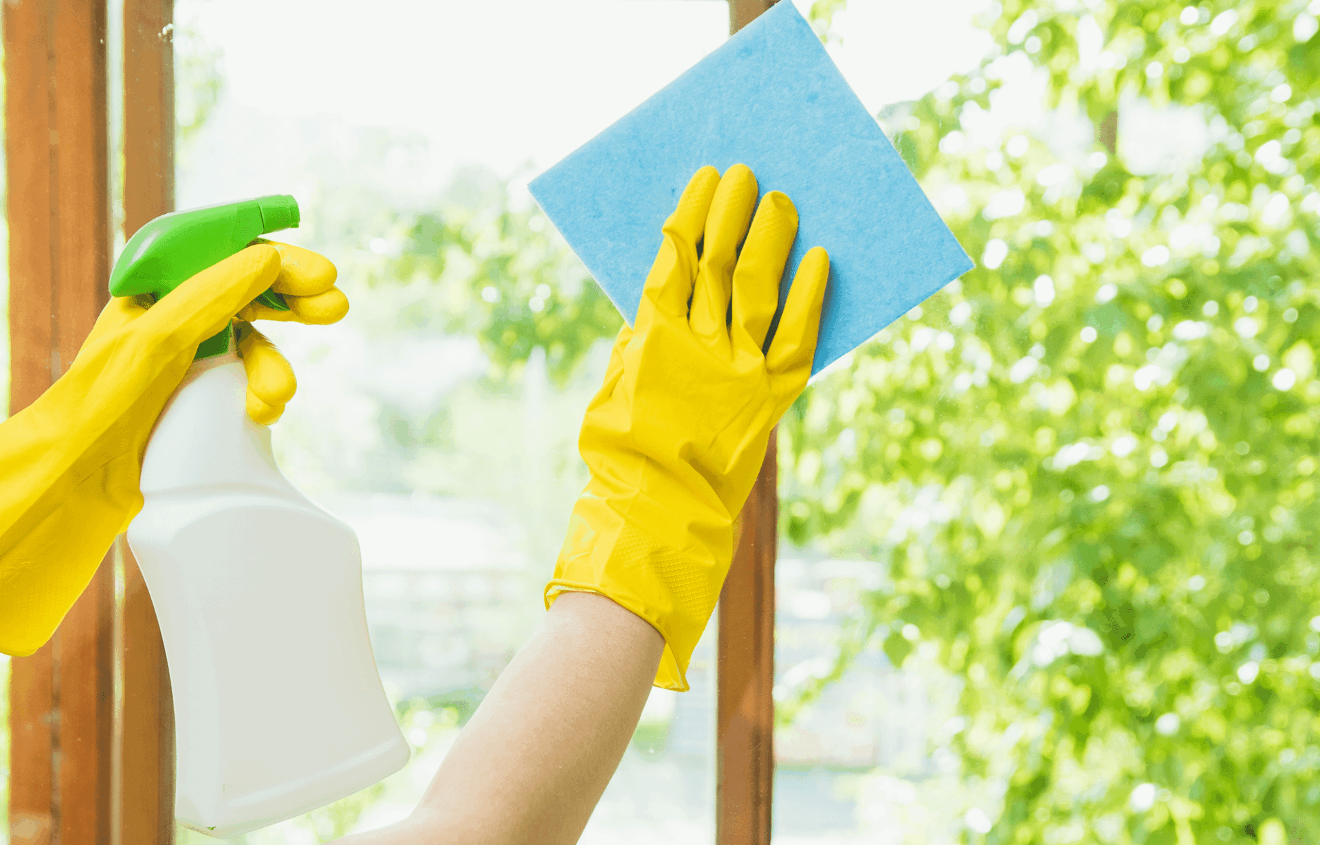 Fensterreinigung mit Lotuseffekt