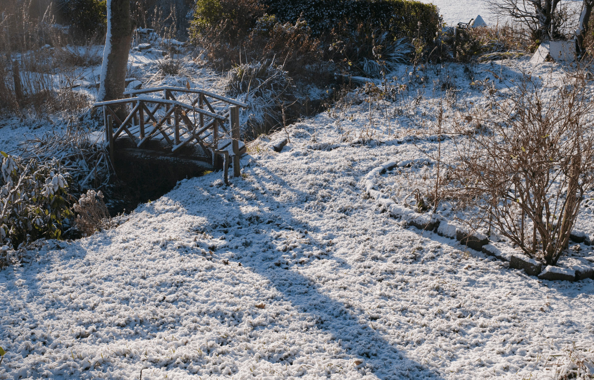 So schützt du deine Pflanzen im Winter