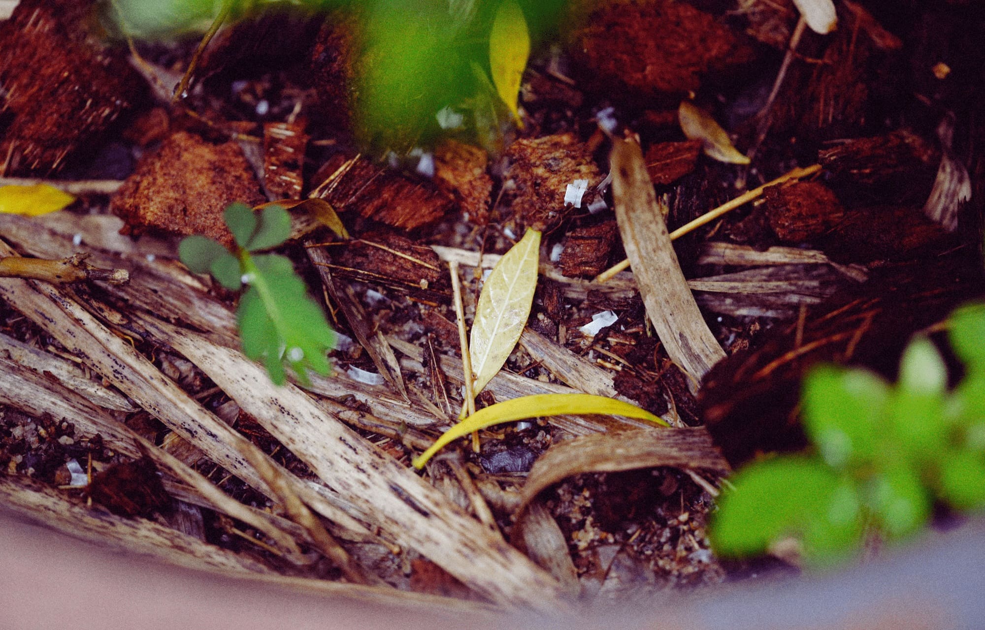 Aufgaben und Unterschiede WEG, Eigentümer und Hausverwaltung